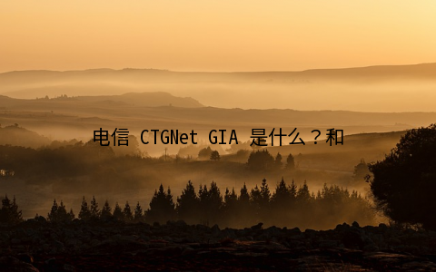 电信 CTGNet GIA 是什么？和 CN2 GIA 有什么区别？