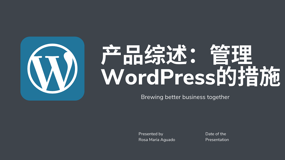 产品综述：管理 WordPress的措施