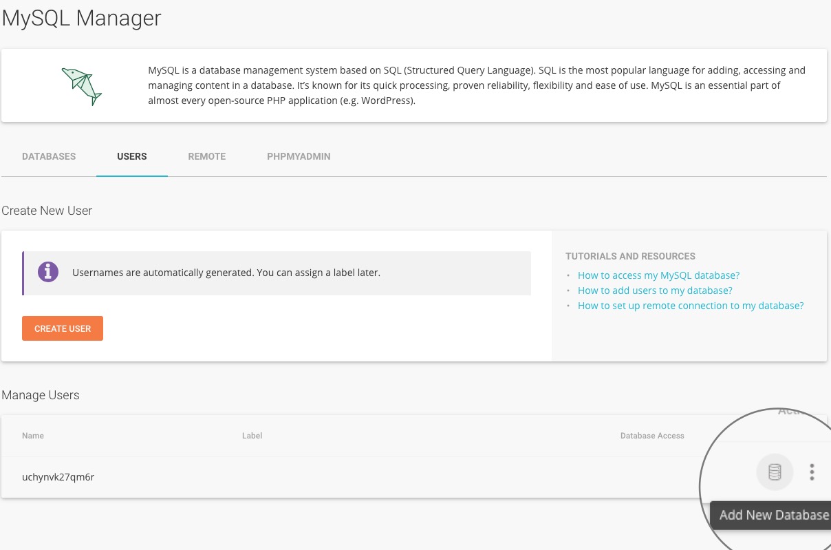 SiteGround主机教程教程：如何创建 MySQL 用户和数据库