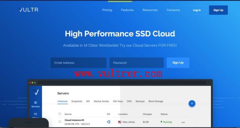 Vultr VPS方案选择：SSD硬盘方案和SATA硬盘方案哪个好？