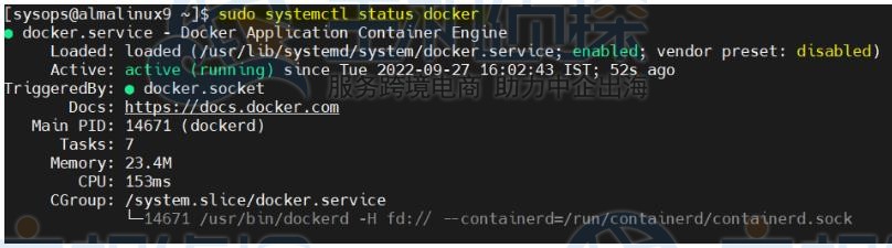 Docker运行状态查询