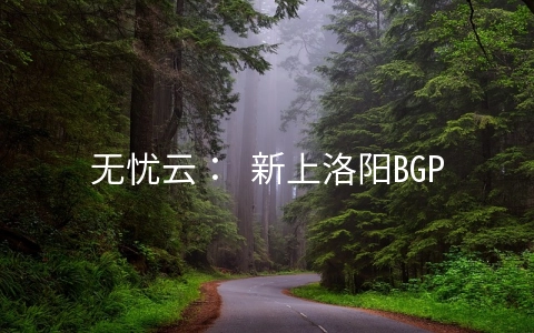 无忧云: 新上洛阳BGP机房,2核/2G/50G/3Mbps不限/年付253元,续费同价,注册送300+代金券