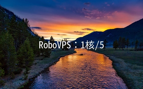 RoboVPS:1核/512M/10G SSD/100Mbps不限流量/荷兰&德国/KVM/月付10.9元