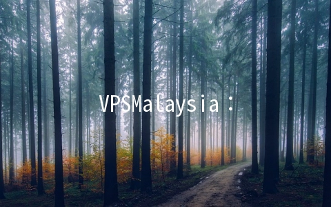 VPSMalaysia:1核/1G/25G SSD/2T流量/100Mbps/KVM/马来西亚/月付$7