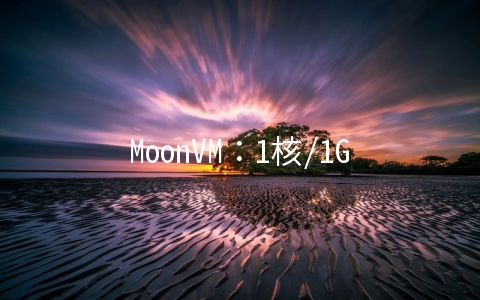 MoonVM:1核/1G/10G SSD/4T单向流量/100Mbps/台湾Hinet直连/月付$45