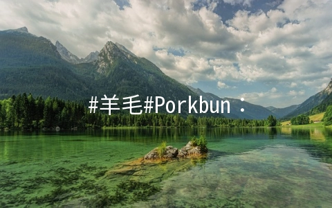 #羊毛#Porkbun：免费一年的design域名，还有免费的电子邮件