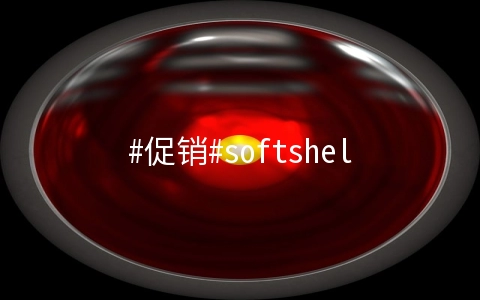 softshellweb：1核/1G/20G SSD/200G流量/1Gbps/台北/年付$49，直连大陆