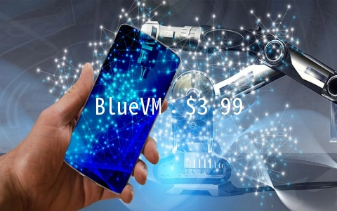 BlueVM：$3.99/月KVM-1GB/30GB/1TB 纽约