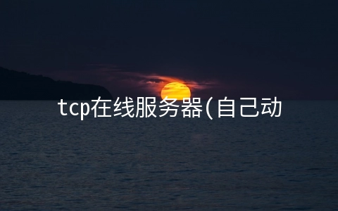 tcp在线服务器(自己动手用c语言写一个基于服务器和客户端（TCP）)