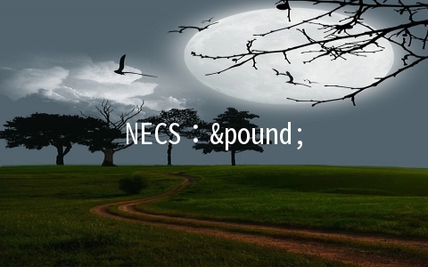 NECS：£2.5/月KVM-256MB/15GB/750GB 英国