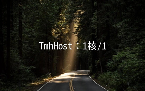 TmhHost：1核/1G/40G SSD/3Mbps不限/香港三网CN2 GIA/月付36元，香港独服首月5折