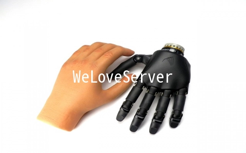 WeLoveServers：$8/年OpenVZ-256MB/10GB/250GB 洛杉矶
