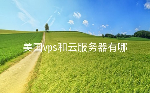 美国vps和云服务器有哪些区别 虚拟主机,vps和云服务器的区别