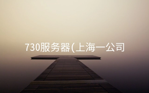 730服务器(上海一公司网络系统遭非法侵入被盗730万余元，警方72小时锁定“黑客”)