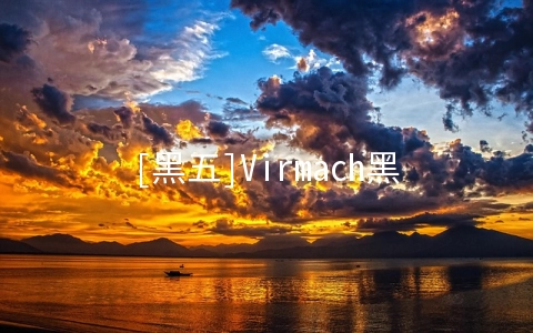 [黑五]Virmach黑五优惠套餐发布