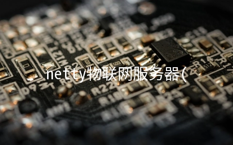 netty物联网服务器(物联网netty iot 心跳检测 长连接 DTU服务器端源码免费赠送)
