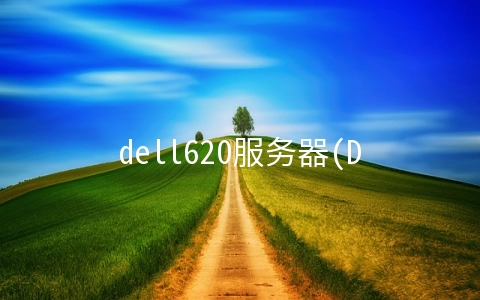 dell620服务器(DELL T620服务器硬盘坏，更换硬盘做RAID同步)