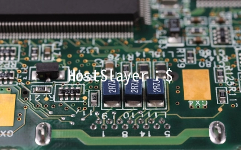 HostSlayer：$3.75/月OpenVZ-1GB/50GB/无限 俄罗斯