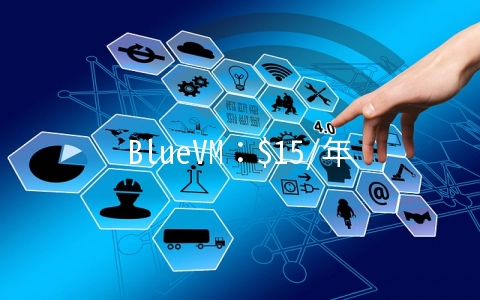 BlueVM：$15/年OpenVZ-512MB/25GB/1TB 洛杉矶