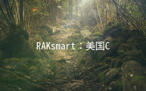 RAKsmart：美国CN2线路VPS月付$0.99起,日本/香港VPS月付$2.99起