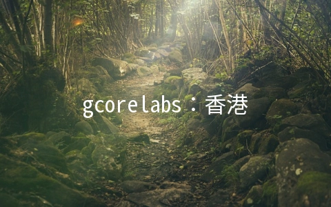 gcorelabs：香港机房实际测评数据 ，让大家看看香港机房的线路和网络怎么样