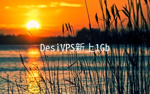 DesiVPS新上1Gbps不限流量VPS年付29.99美元,每月可免费换1次IP,洛杉矶机房