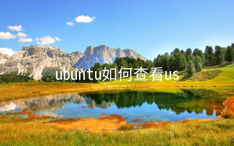 ubuntu如何查看usb信息