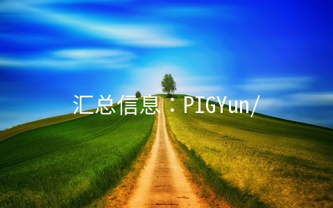 汇总信息：PIGYun/五洛云/特网科技/恒爱网络/GCCCloud