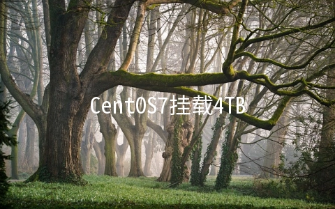 CentOS7挂载4TB磁盘 centos7.3挂载硬盘