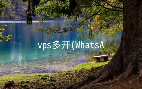 vps多开(WhatsApp电脑多开方法有哪些？)