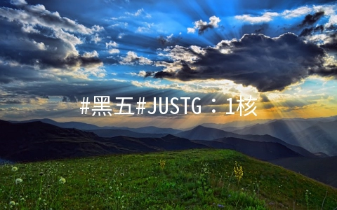 #黑五#JUSTG：1核/512M/10G硬盘/500G/100Mbps/南非CN2 GIA/年付$19.99，可看奈飞