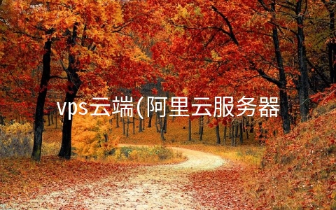 vps云端(阿里云服务器跟淘宝上租的服务器有什么区别？)