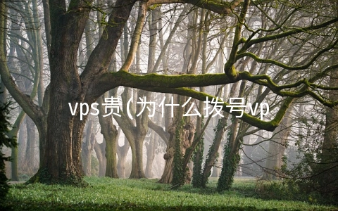 vps贵(为什么拨号vps的价格不同)