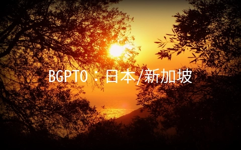 BGPTO：日本/新加坡CN2 GIA服务器$64/月,E3-1230v3/16GB/480G SSD/10-100M带宽