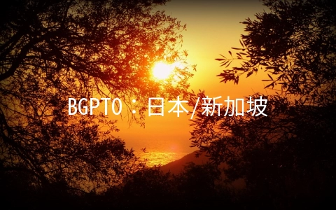 BGPTO:日本/新加坡CN2 GIA服务器$64/月,E3-1230v3/16GB/480G SSD/10-100M带宽