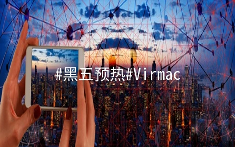 #黑五预热#Virmach：E3-1240v1/16G/1T HDD/10T流量/1Gbps/5IP/美国多机房/月付$24.96