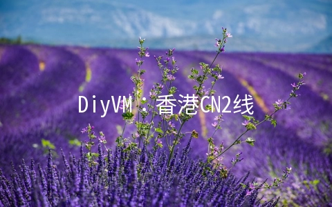 DiyVM：香港CN2线路VPS五折起,2G内存套餐月付50元