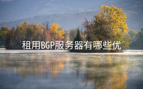 租用BGP服务器有哪些优点 bgp适合大型网络