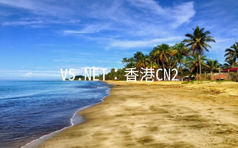 V5.NET：香港CN2(HKTW-B3)限量7折,双E5-2630L/32GB/1T SSD/10M CN2月付625元