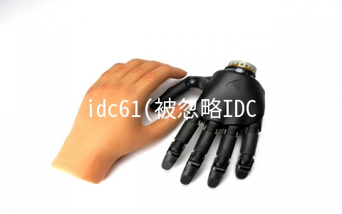 idc61(被忽略IDC第一梯队，25万个机柜集中在一线城市)