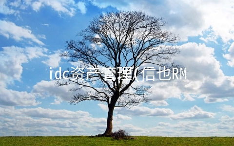 idc资产管理(信也RMS资源管理系统：探索数字孪生，让IDC更智慧)