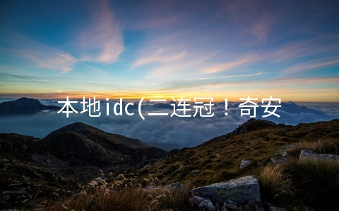 本地idc(二连冠！奇安信连续两年夺得中国安全分析领域头名)