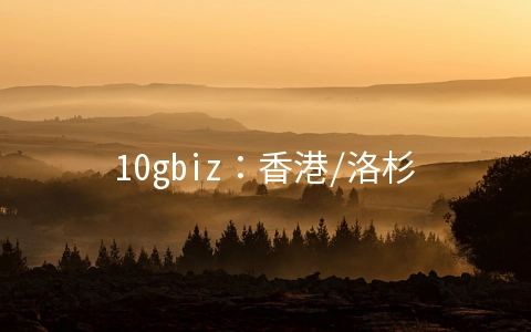 10gbiz:香港/洛杉矶VPS四折$2.76/月起,CN2 GIA线路,香港独立服务器首月36.57美元起