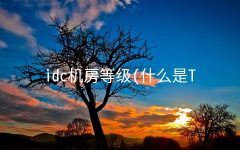 idc机房等级(什么是T4级数据中心)