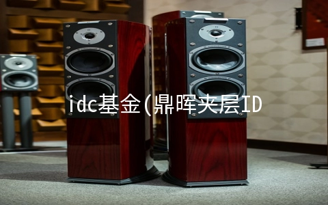 idc基金(鼎晖夹层IDC基金完成20亿元募集，持续获得机构投资人青睐)