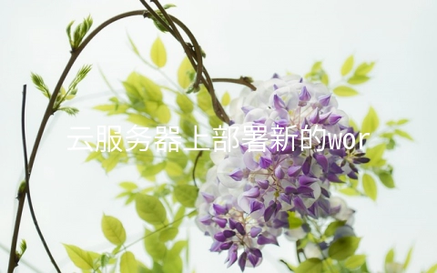 云服务器上部署新的wordpress网站时需要做哪些安全工作