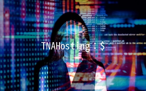 TNAHosting：$5/月-4核/12GB/500GB/15TB/芝加哥机房