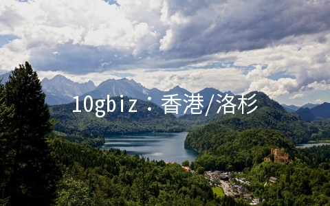 10gbiz：香港/洛杉矶VPS八月4折月付2.36美元起,258IP站群服务器首月半价