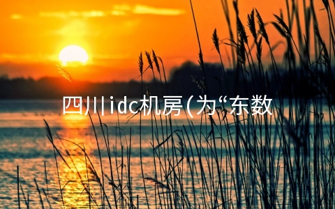 四川idc机房(为“东数西算”搭建绿色“数字蜀道”中国移动四川公司创新打造数智化绿色数据中心)