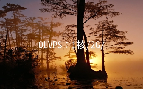 OLVPS：1核/2G/20G硬盘/20T流量/600Mbps/1IP（动态）/台北Hinet/月付$52.5